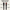 Nord Care Curler Pro