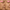 K-Beauty Collagen Jelly Face Cream